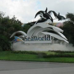 Поездка в Sea World — 2010